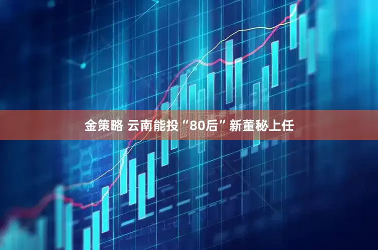 金策略 云南能投“80后”新董秘上任